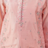 Embellished Kameez & Trousers (GPW-S1119)
