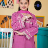 Embroidered Kameez & Trousers (GSK-604)