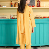 Embroidered Kameez Shalwar (GSK-617)