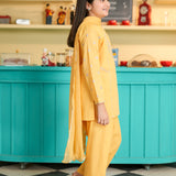 Embroidered Kameez Shalwar (GSK-617)