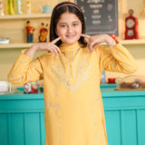Embroidered Kameez Shalwar (GSK-617)