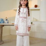 Embroidered Kameez & Trousers (GSK-629)