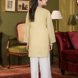 Shalwar And Kameez (Embroidered) (GSK2-05)