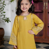 Embroidered Kameez With Trousers (GSKM-06)