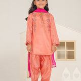 Embellished Kameez ,Shalwar With Pouch And Dupatta (GPW-1160)