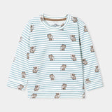 T-Shirt (Pack Of 2) (IBTP-156)