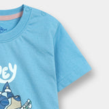 T-Shirt (Pack Of 2) (IBTP-173)