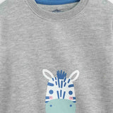 T-Shirt ( Pack Of 2) (IBTP-185)