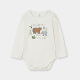 Value pack (Pack Of 3) (IBVP-108)