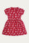 Knitted Dress (GJT-449)