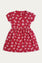 Knitted Dress (GJT-449)