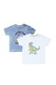 T-Shirt (Pack Of 2) (IBTP-120)