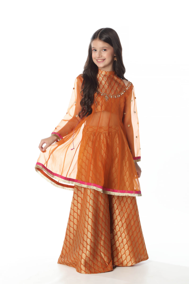 Embellished Gown with Top & Lehnga (GPW-S986)