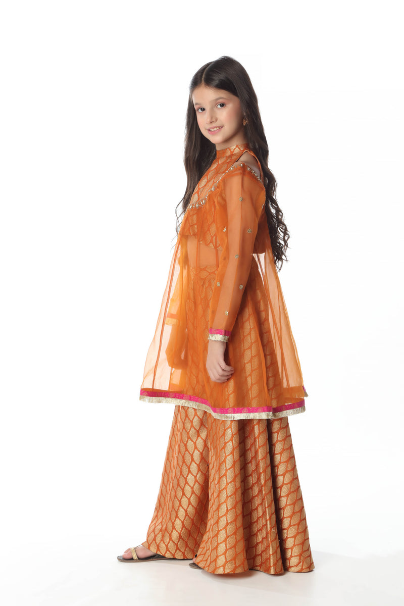 Embellished Gown with Top & Lehnga (GPW-S986)