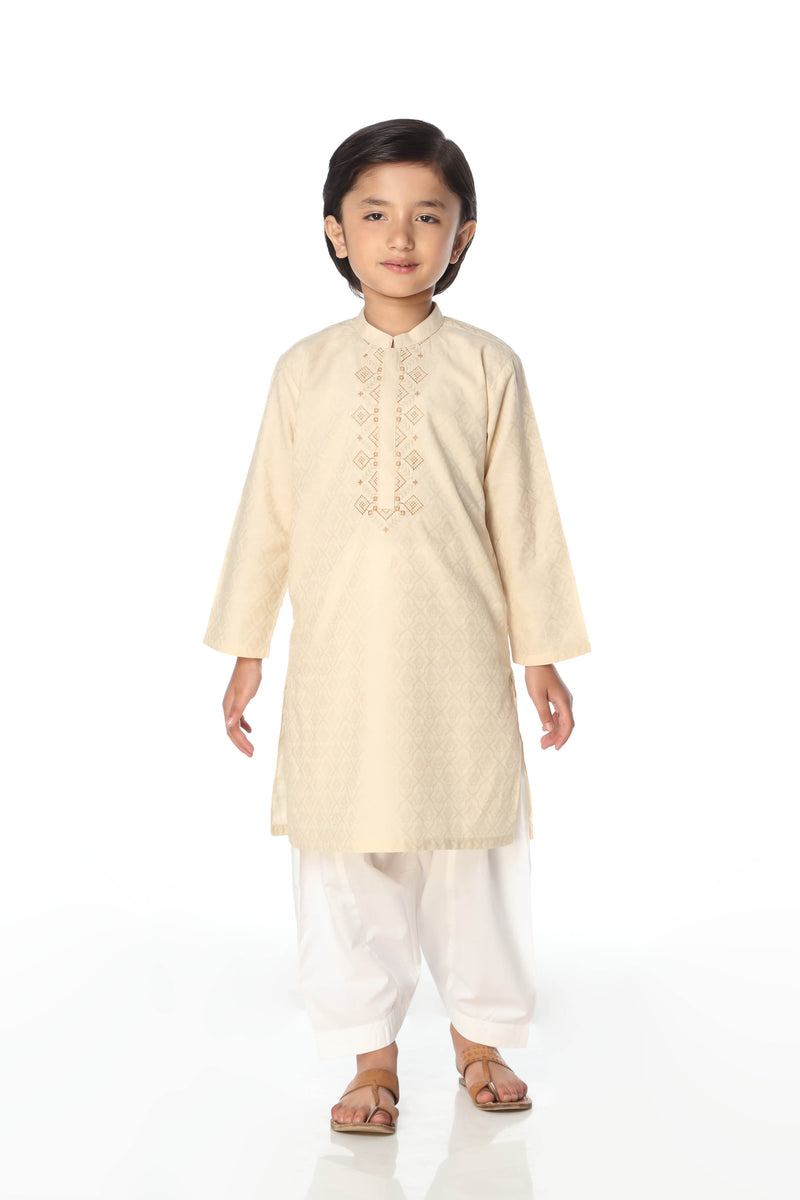 Kurta With Embroidery (FBSK-798)