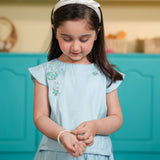Embellished Top & Skirt (MMB-S68)