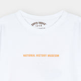 T-Rex T-Shirt (Pack Of 3) (MSBKTPJ-42)