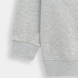 Sweatshirt (MSBTBT-06)