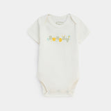 Bodysuit (Pack Of 7) (NBBP-25)