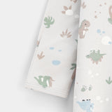 Sleepsuit (Pack Of 2) (NBSP-22)