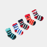 Socks (Pack Of 5) (SB-179)