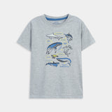 Shirt And T-Shirt Set (SST-167)