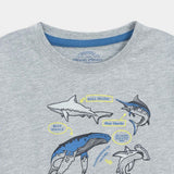 Shirt And T-Shirt Set (SST-167)