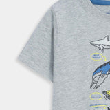 Shirt And T-Shirt Set (SST-167)