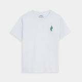 Shirt & T-Shirt Set (SST-181)