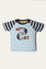T-SHIRT PACK 3PC (IBTP-111)