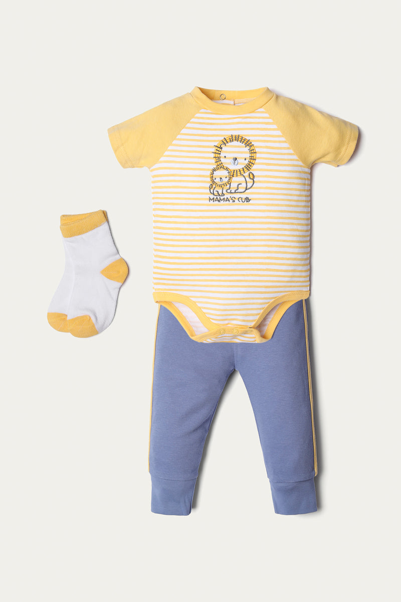Bodysuit, pants & pair of sock(pack of 3) (CBVP-034)