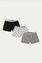 Trunks (Pack of 3) (B-BRIEF-022)